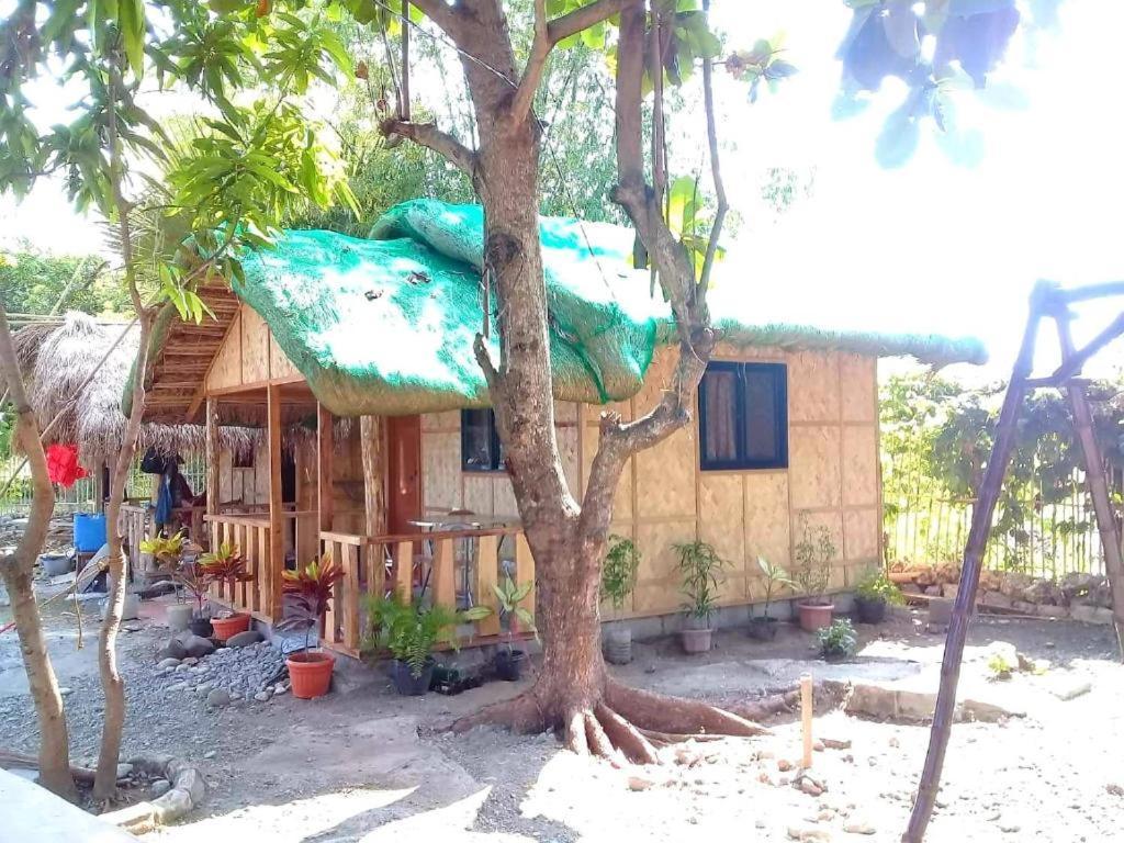 Traditional Filipino Transient House And Huts Near 100 Islands Wharf Alaminos Exterior photo